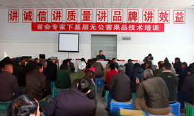 科技賦能，服務下沉——省會專家服務辛集行活動圓滿落幕